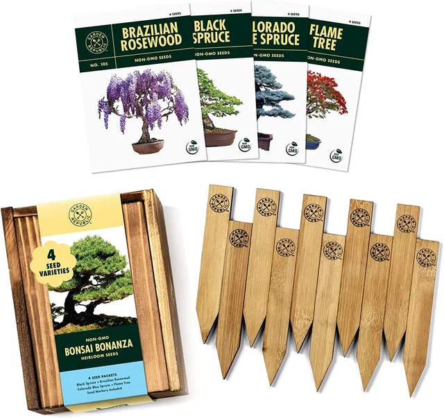 Bonsai Tree Seeds Kit - 4 Popular Varieties of Non GMO Mini Bonsai Trees, Bamboo