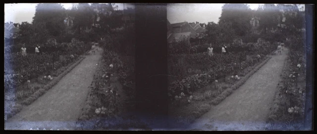 Jardin Famille c1930 Photo NEGATIVE Plaque Stereo Vintage V36L7n 