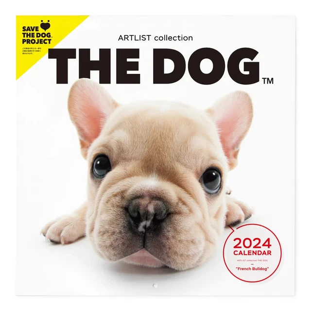 PSL THE DOG 2024 Calendar Large Size (French Bulldog) With Original