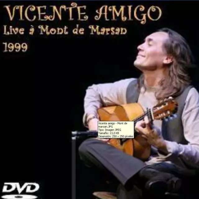 VICENTE AMIGO EN DIRECTO EN MONT DE MARSAN 1999 (Francia) DVD