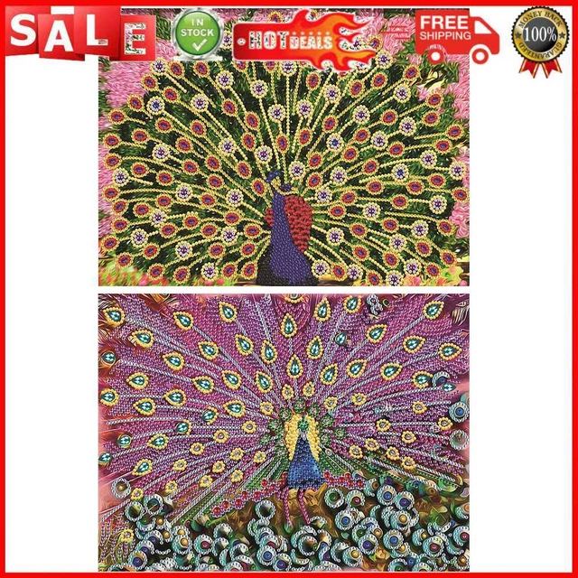 5D Diamond Painting Kit Open Peacock Partial Special Shape Drill Rhinestone DIY