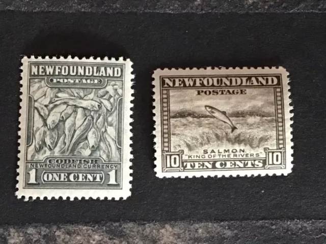 Newfoundland stamps 1c grey + 10c brown MH