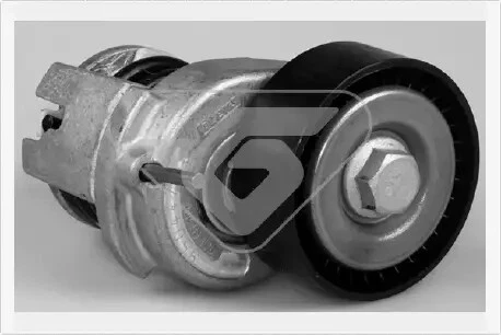 GALET TENDEUR DE COURROIE D ACCESSOIRE HUTCHINSON T0259 Drive Auto Discount