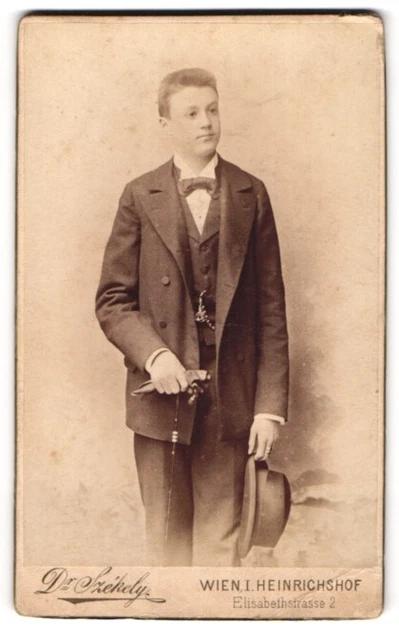 Fotografie Dr. Szekely, Wien, Elisabethstr. 2, Junger Herr im Anzug mit Fliege