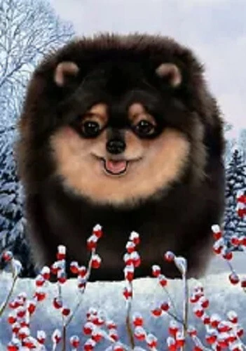 Winter Garden Flag - Black and Tan Pomeranian 159561