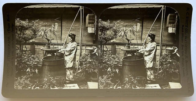 Japan Yokohama Wie On Puise L’Eau 1901 Foto Stereo Vintage P81L9n9