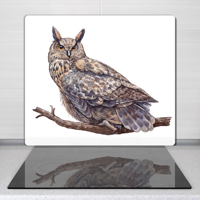 Lot De 2 Planches à Découper En Verre Trempé - Motif Hibou & Branche 40x52 Cm