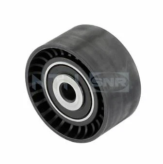 Galet Enrouleur (Courroie D'accessoire) Pour Renault Scénic Ii 2.0 Dci