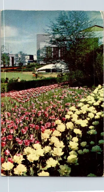 Vintage Postcard Tulip Time Hurt Park Showing Municipal Auditorium In Back, GA.