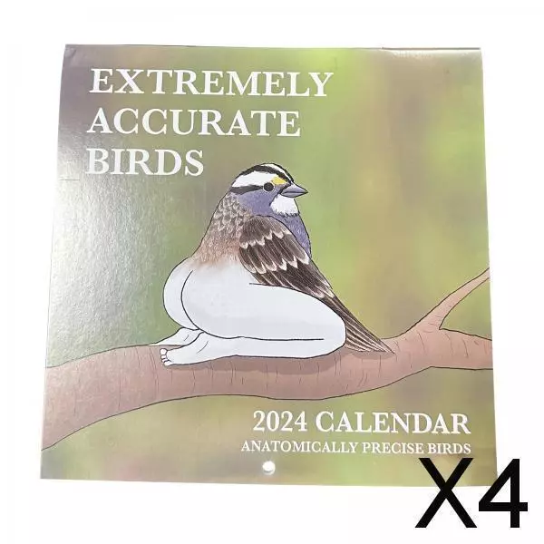 4X Lustiger Vogelkalender 2024, Memoseiten, interessanter Monatskalenderplaner