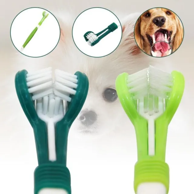 Limpieza de dientes de perro Cepillo de dientes de 3 caras para mascotas