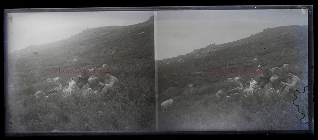 Famille Déjeuner sur l'herbe Photo Plaque de verre NEGATIVE c1930 Stereo PL28L