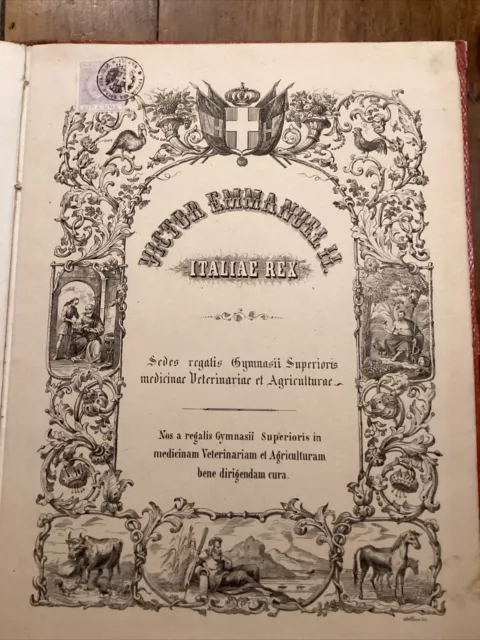 Diploma Di Laurea In Veterinaria E Agricoltura Università Napoli 1866