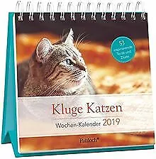 Kluge Katzen - Wochen-Kalender 2019: zum Aufstellen... | Buch | Zustand sehr gut