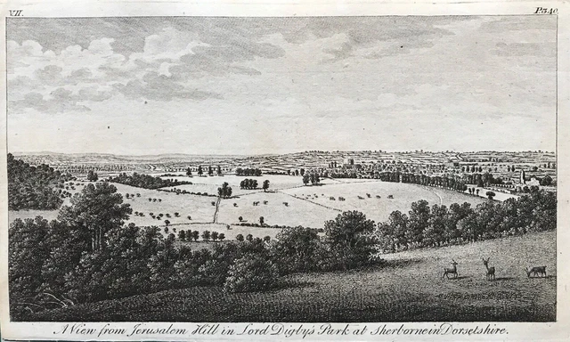 1776 Antique Print; View from Jerusalem Hill, Sherborne Castle, Dorset by Goadby