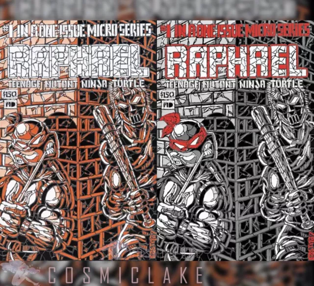 Tmnt Teenage Mutant Ninja Turtles Raphael #1 Shattered B/W Set Le 500 Pre 4/15☪