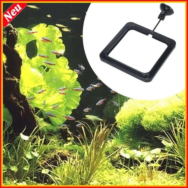 Anillo de alimentación de acuario estación de tanque de peces bandeja flotante de comida bandeja alimentador cuadrado-K