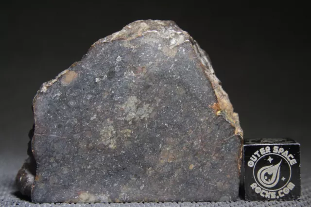 NWA 7122 L4 Chondrite Meteorite 24.4 gram part slice