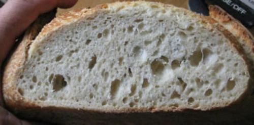 San Francisco lievito pane lievito piccante acida avviamento farina cottura CM guasto
