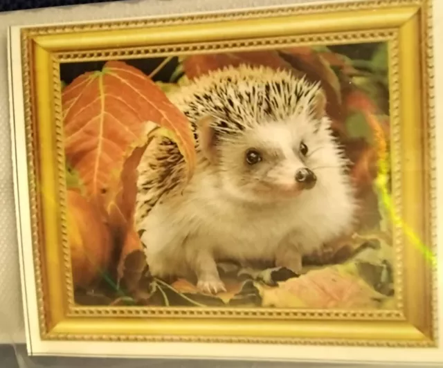 AUTUMN HEDGEHOG 58 X 48 cm 5D  Diamond Painting Embroidery Kit UK lot 28