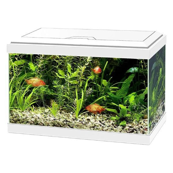 Ciano Aqua Aquarium 20 LED 30 Hex Lighting Hood Filter Beginner Glass Fish Tank 3