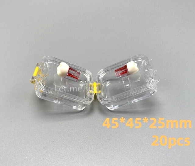 20pcs Dental Box Jewelry Storage Boxes Hinged Display Clear Membrane Case Small