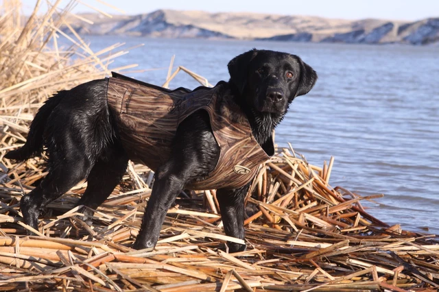 AVERY GREENHEAD GEAR TUFF 3MM Neoprene Dog Vest Parka Marsh Grass MG XXL 2XL 19.90 PicClick