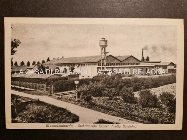 CARTOLINA MASSA LOMBARDA Stabilimento Export frutta Borgnino- ANNO 1935 - fp  VG