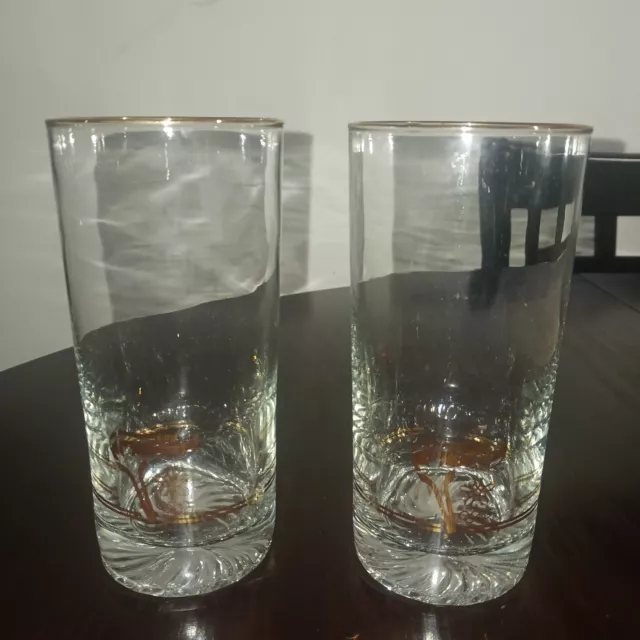 Canadian Olympics Water Glasses Set of 2