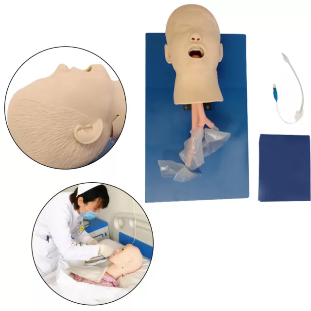 Airway Management Trainer Child Simulator Teaching Head Model Intubation Manikin