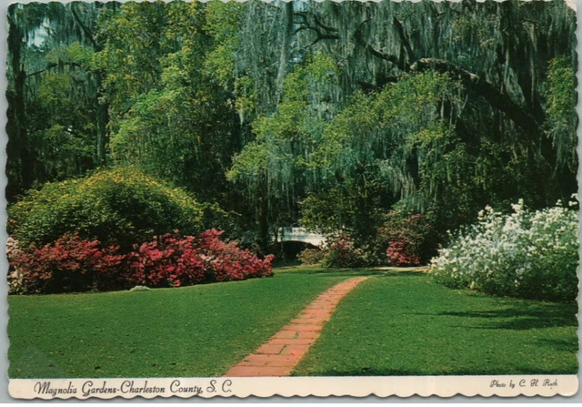 Vintage Postcard Magnolia Gardens Charleston County South Carolina