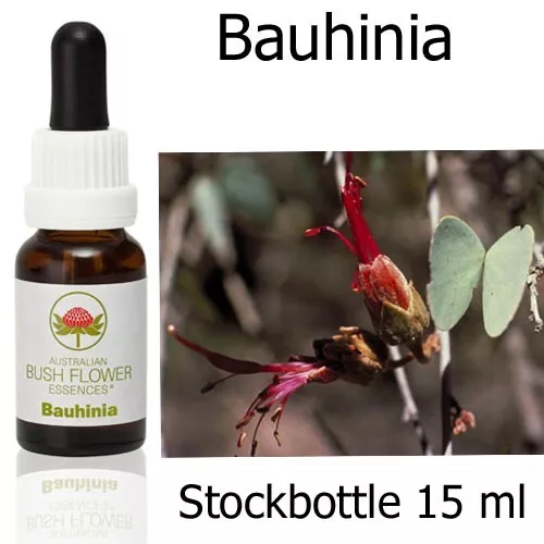 BAUHINIA Australian Bush Flower Essences fiori cespugliosi australiani