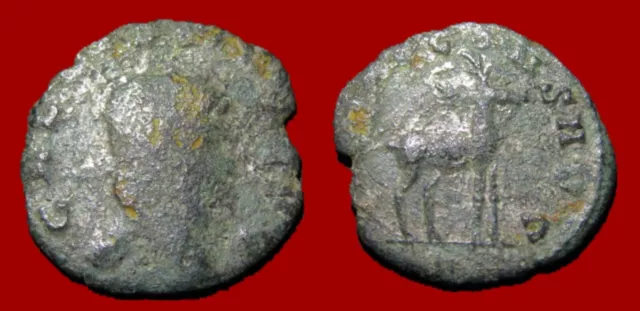 Roman Coin : Gallien – Antoninien, Cerf, TB- [9AGA7]