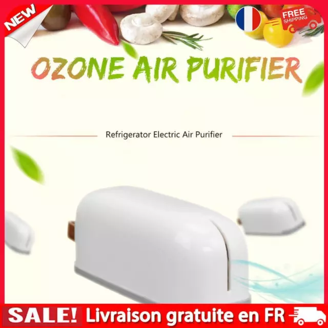 fr Refrigerator Air Purifier Deodorizer Food Fresh Keeper (USB Charge)