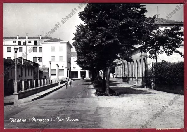 MANTOVA VIADANA 10 Cartolina FOTOGRAFICA viaggiata 1960