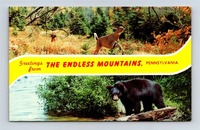 Postcard PA Dual View Banner Greetings Endless Mountains Pennsylvania AE23