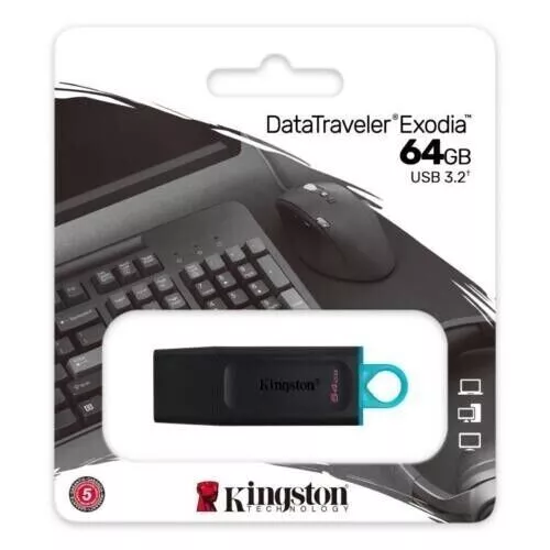 Kingston DTX/64GB Chiavette USB - Nero