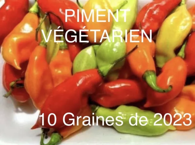 10 Graines De Piment Végétarien (isolé) de Mon Jardin Méthode bio