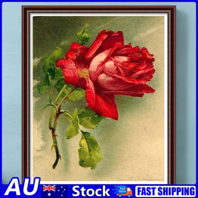 AU Paint By Numbers Kit DIY Oil Art Rose Picture Home Wall Decoration 40x50cm