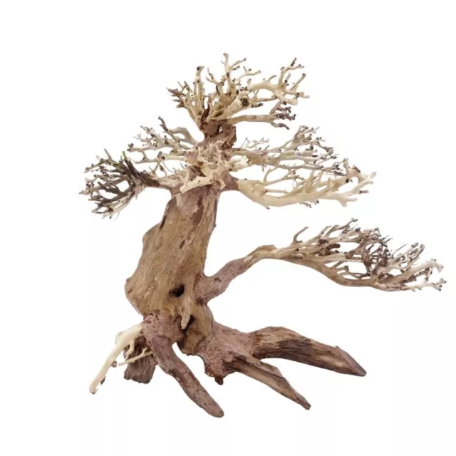 L Bonsaï Arbre Nr.11376 Racine Bois Aquarium Déco Aquascaping Nature Oriental