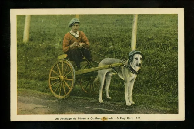 Dog Carts postcard dog pulling boy on cart Switzerland Vintage
