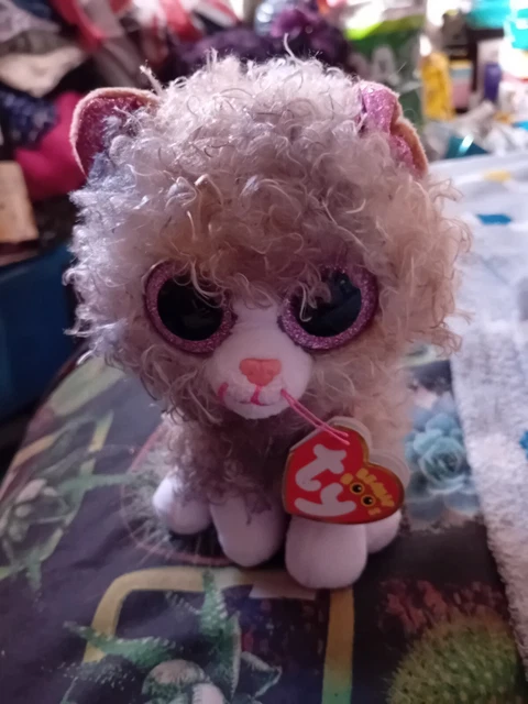 Beanie boo scrappy cat online