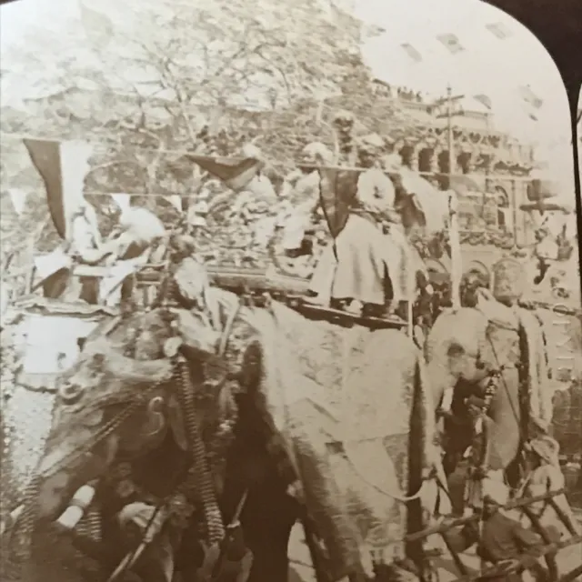 GEORGE ROSE Stereoview Antique Photo INDIA Delhi Durbar  Elephant Procession