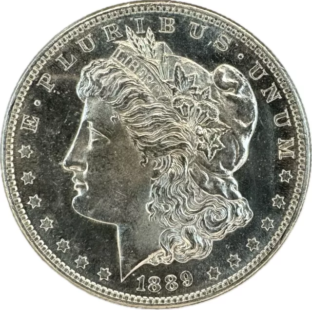 1889 S Morgan Dollar! Flawless Gembu+++Dmpl! Deep Liquid Mirrors$$ Wow Nr #40514