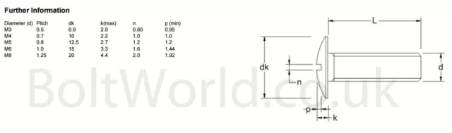 A2 Stainless Steel Slotted Raised Bolts Square Nuts Mushroom Machine Screw 2