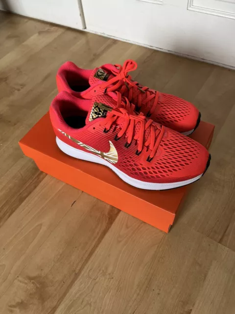 Nike Air Zoom Pegasus 34 Mo