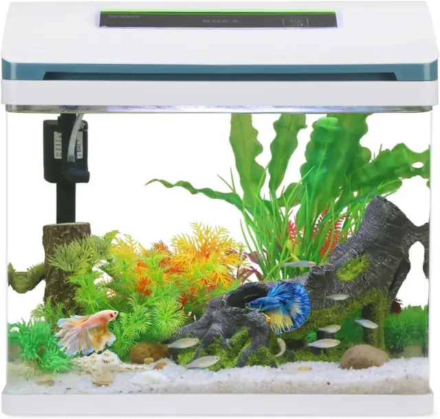 Betta Fish Tank 5 Gallon Self Cleaning Glass Small Aquarium Fish Tank Kit with L