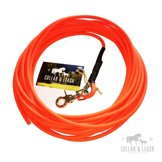 NEUF* BIOTHANE laisse canine laisse de piste laisse de remorquage 8 m environ 6 mm néon jaune NEUF* BIOTHANE laisse canine laisse de piste laisse de remorquage 8 m environ 6 mm néon jaune
