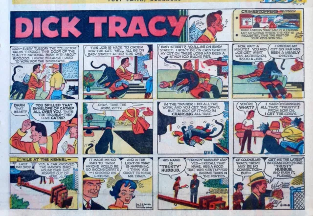 Dick Tracy by Chester Gould - large half-page color Sunday comic - June 11, 1961