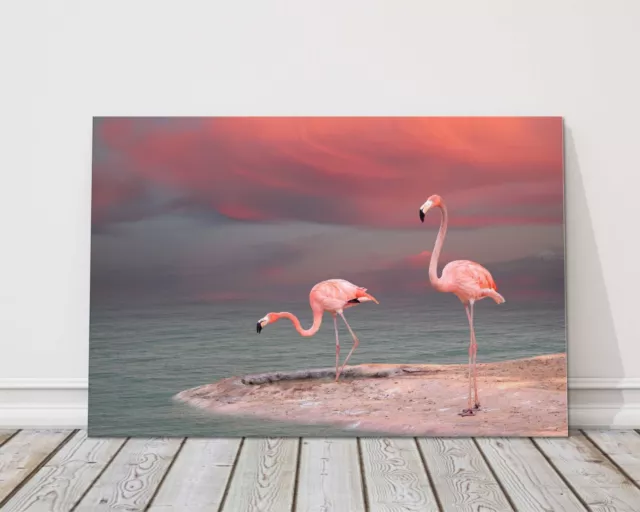 pink flamingos canvas print framed picture wall art various sizes gift birds